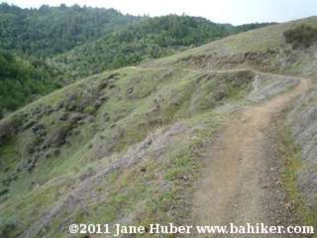 Hidden Meadow Trail