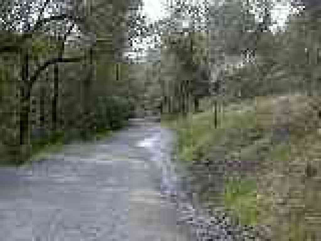 Phoenix Lake Fire Road