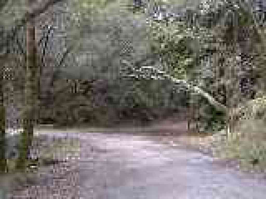 Junction with Worn Springs Fire Road
