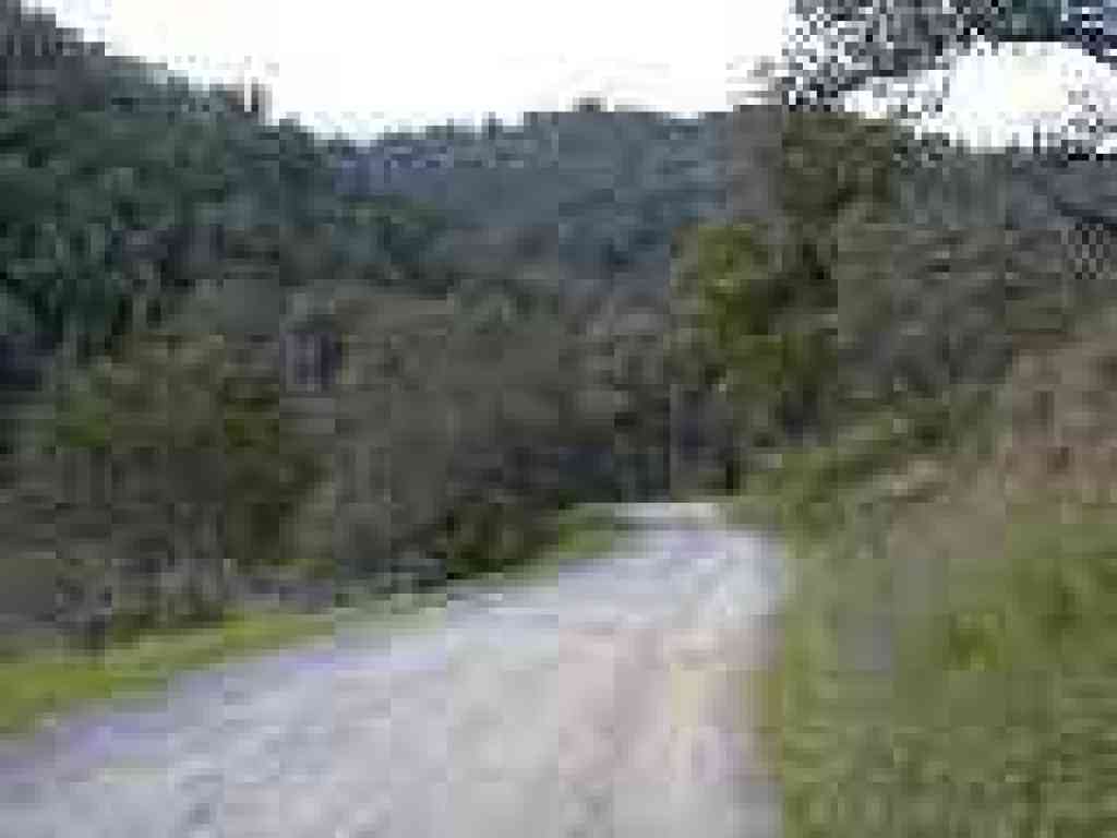 Phoenix Lake Fire Road