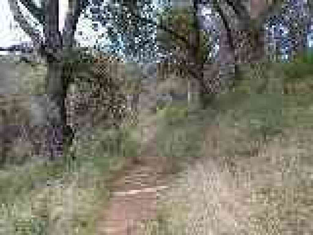 Climbing