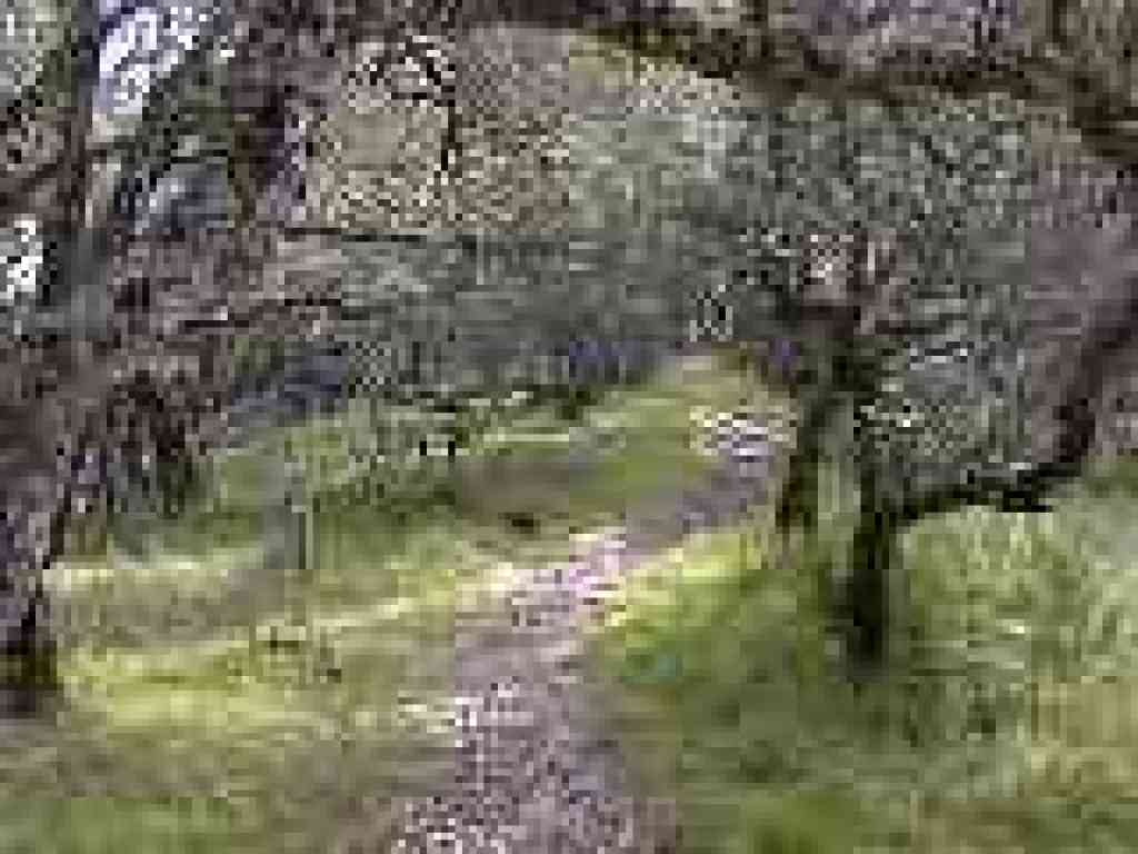 Spur path
