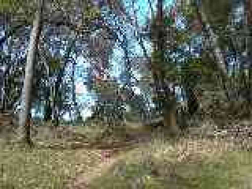 Trail crests
