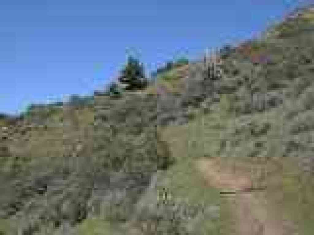 Lion Rock