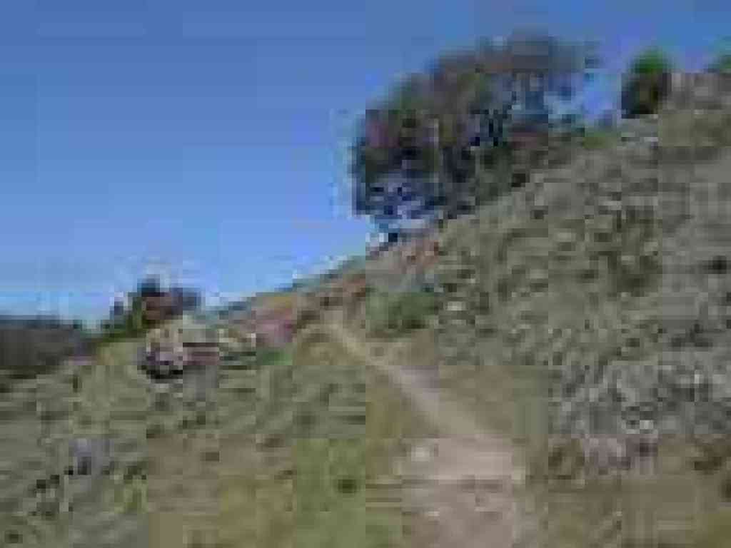 Yolanda Trail
