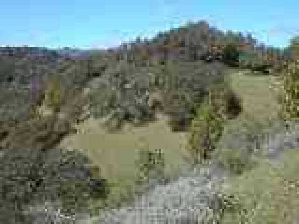 This oak-studded hill makes a good lunch break on a sunny day