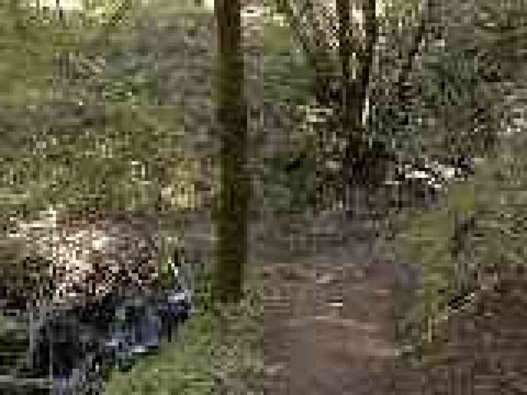 Approaching twin falls