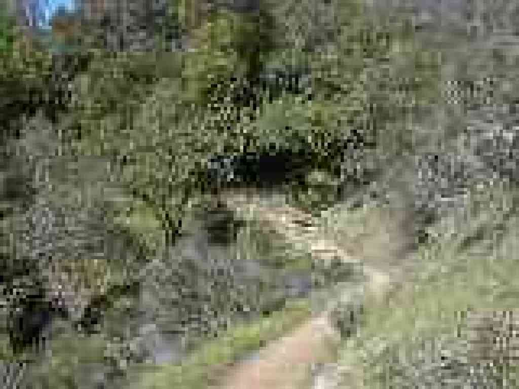 Yolanda Trail
