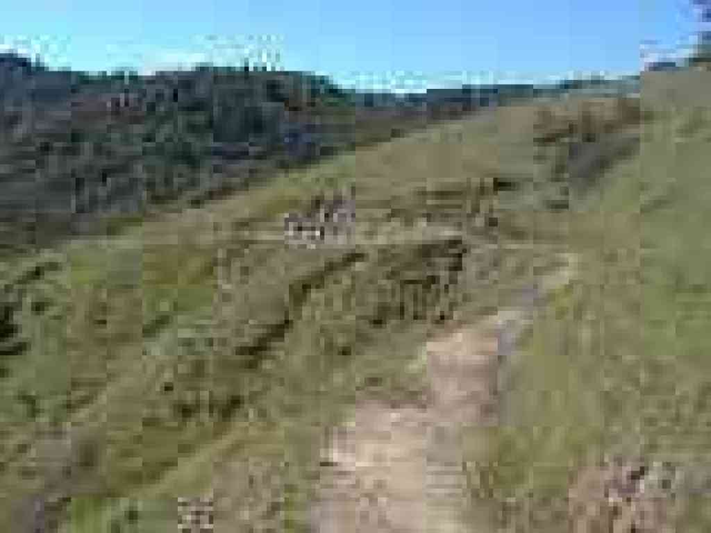 Hidden Meadow Trail