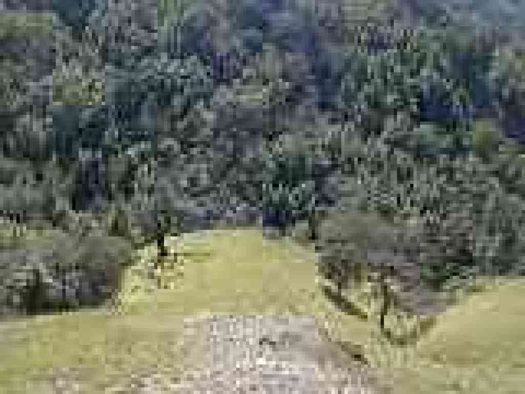 A look downhill