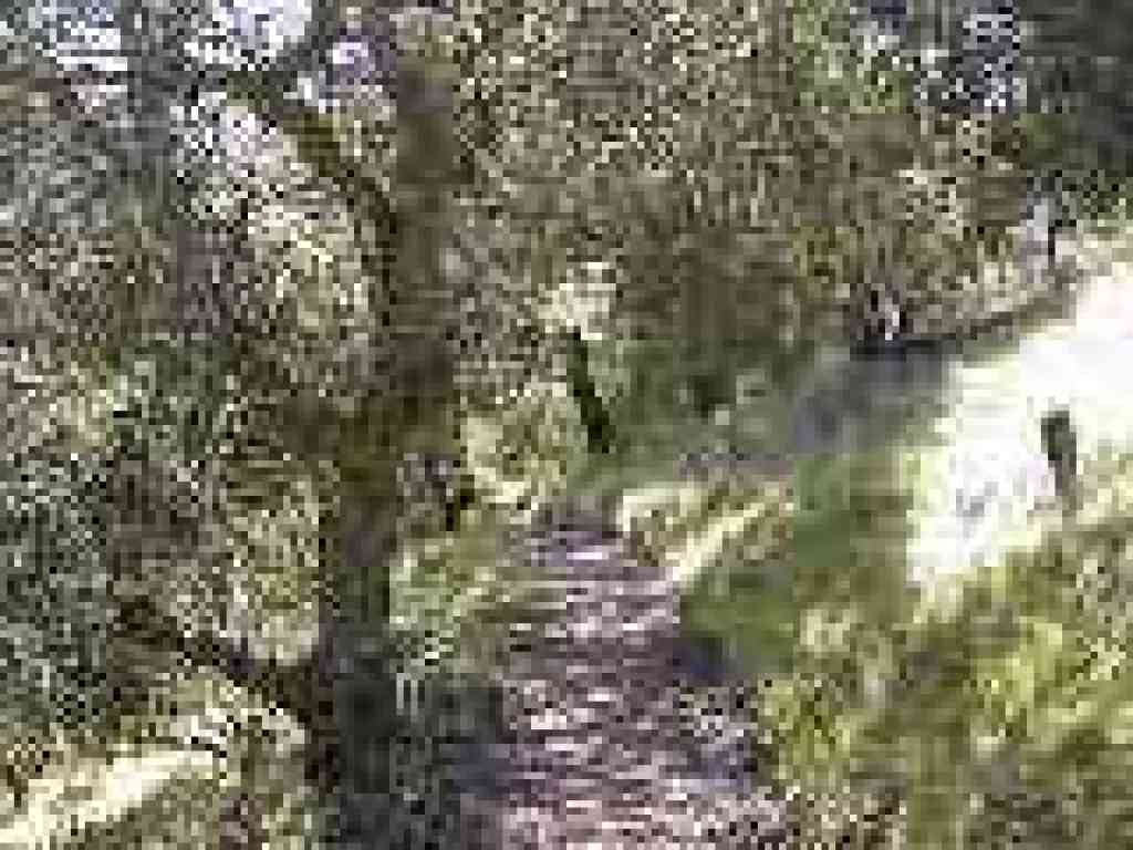 Under oaks