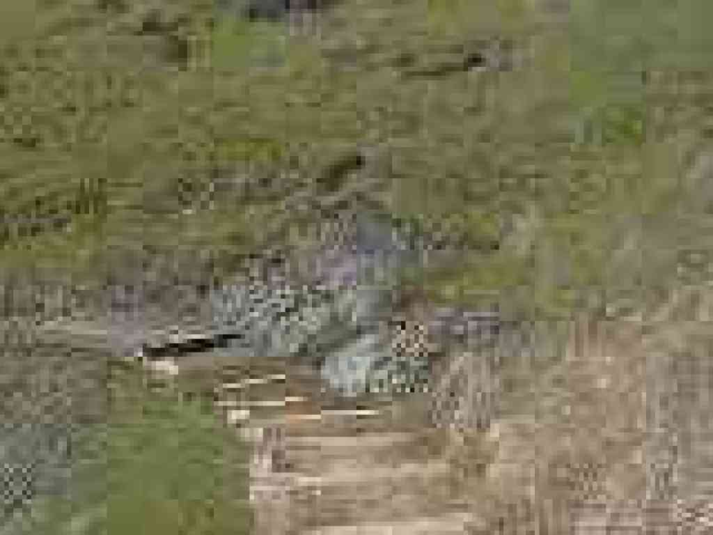 Crossing a damp seep