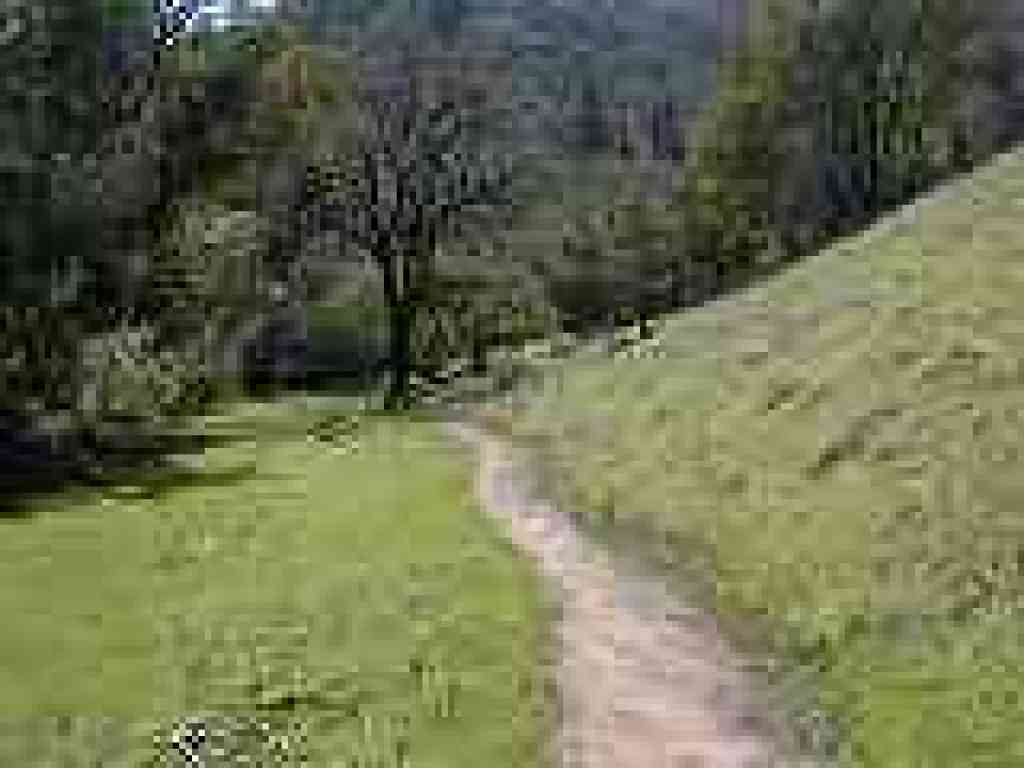 Hidden Meadow