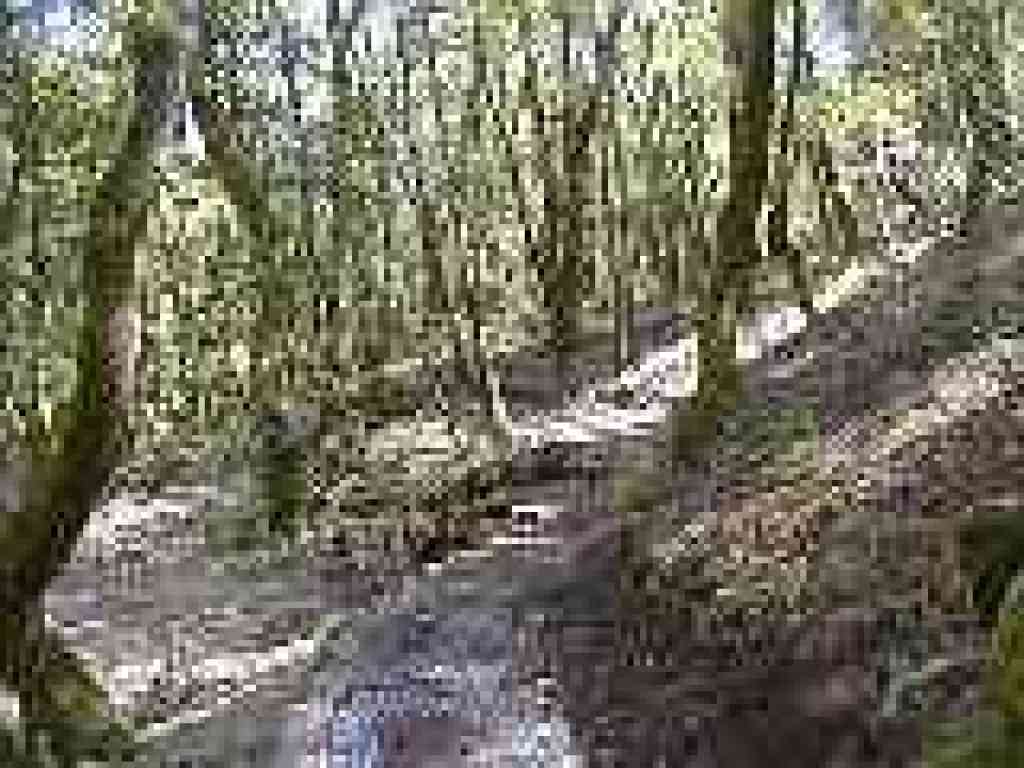 Rerouted trail