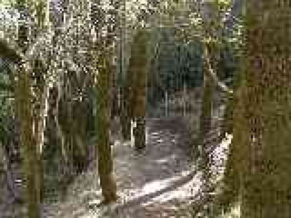Junction