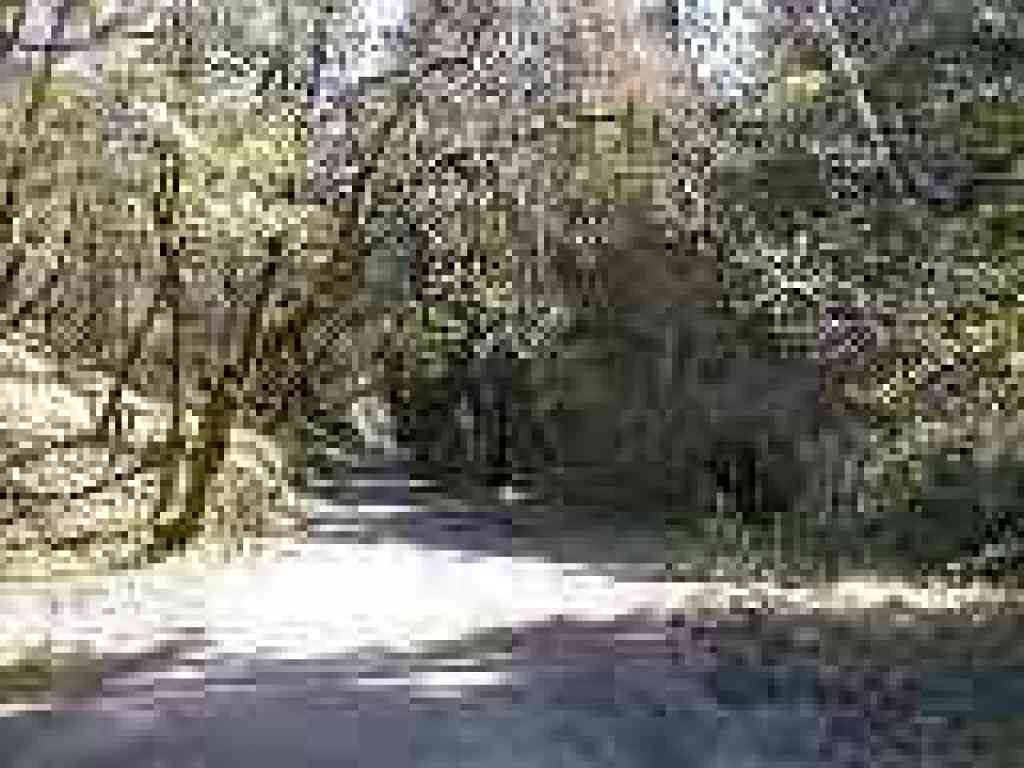 Junction