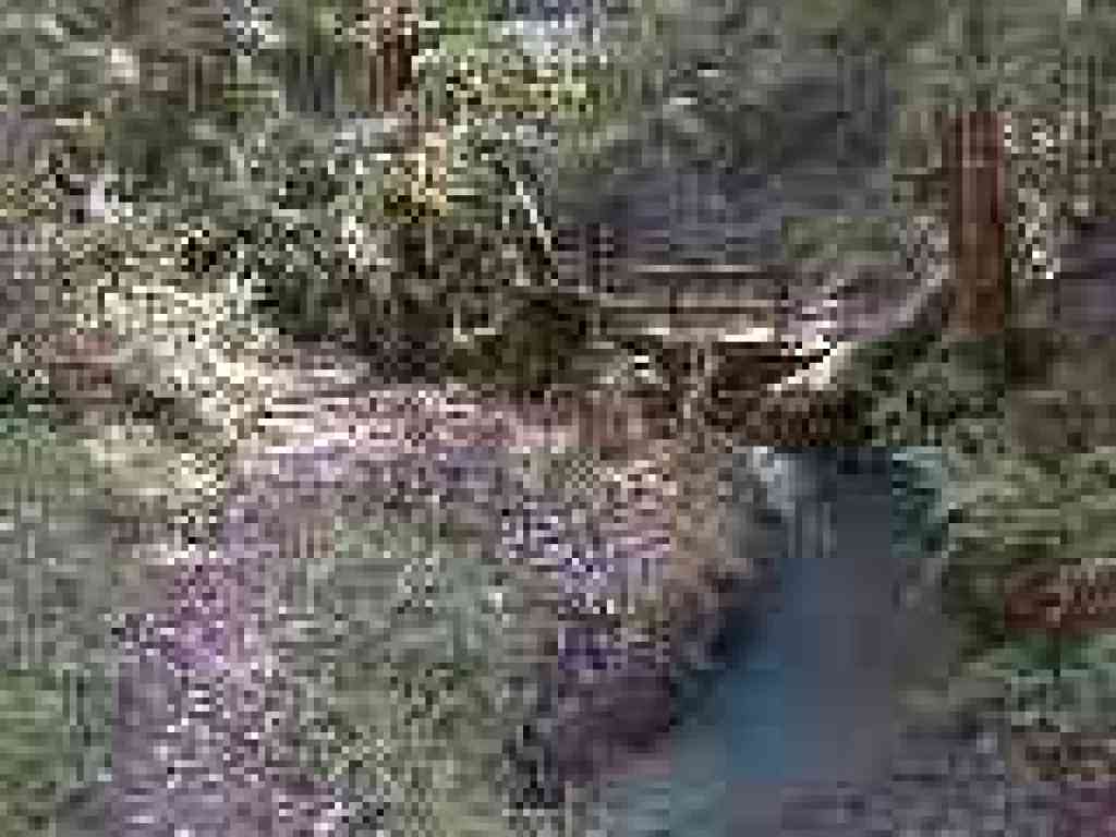 Creekside path