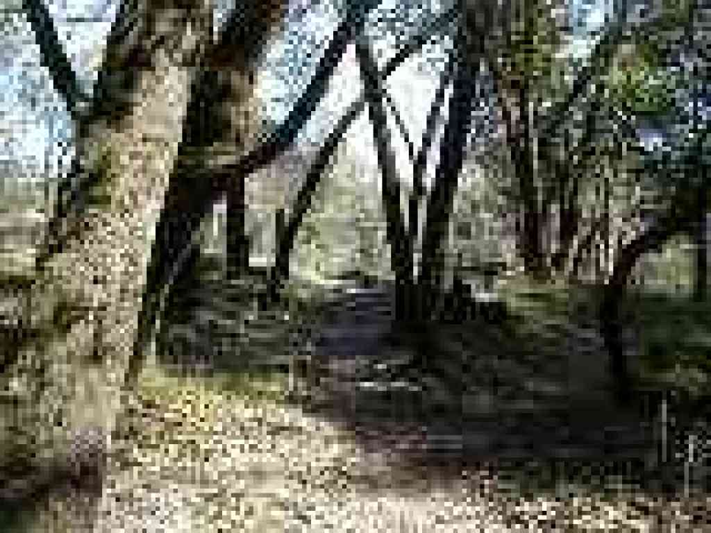 Returning to fire road