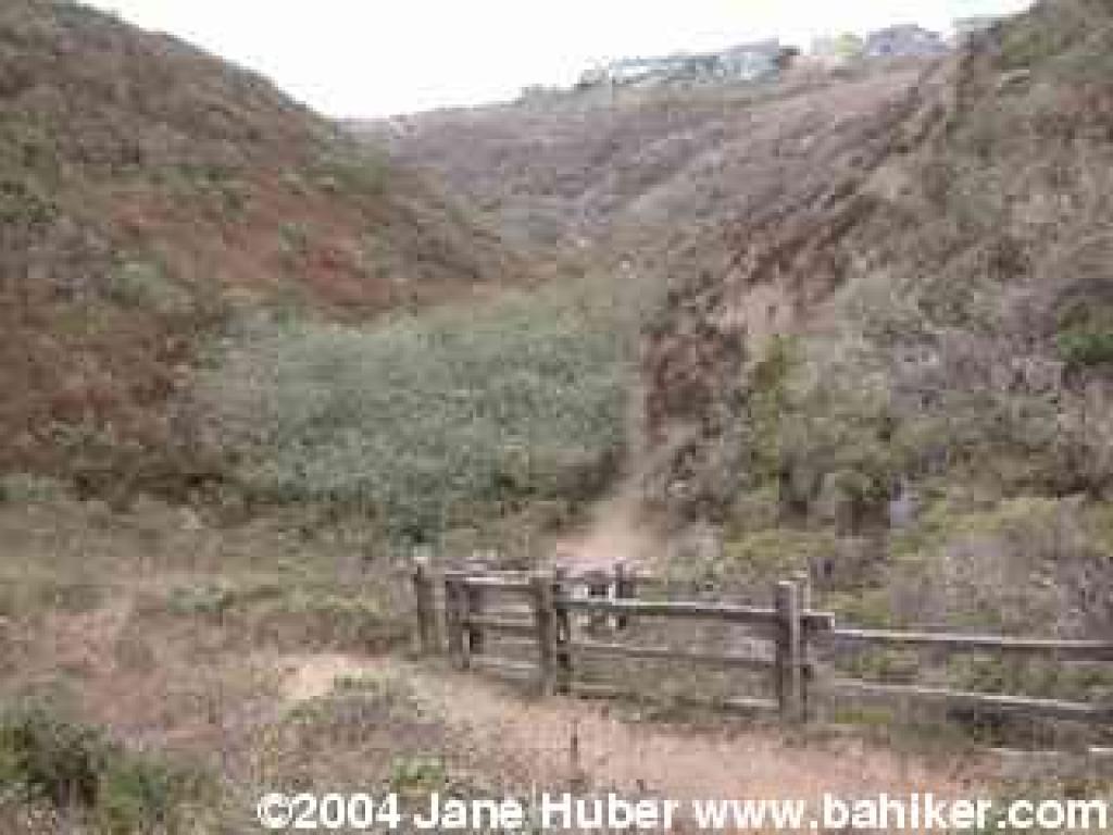 Pinnacle Gulch