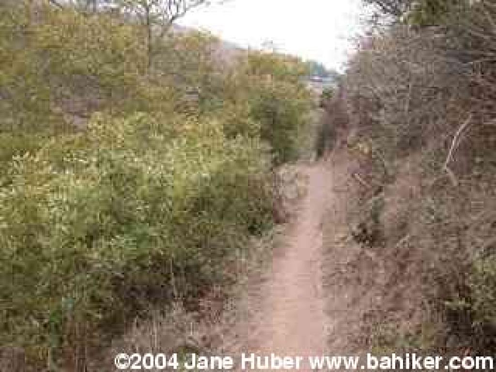 Trail through Pinnacle Gulch