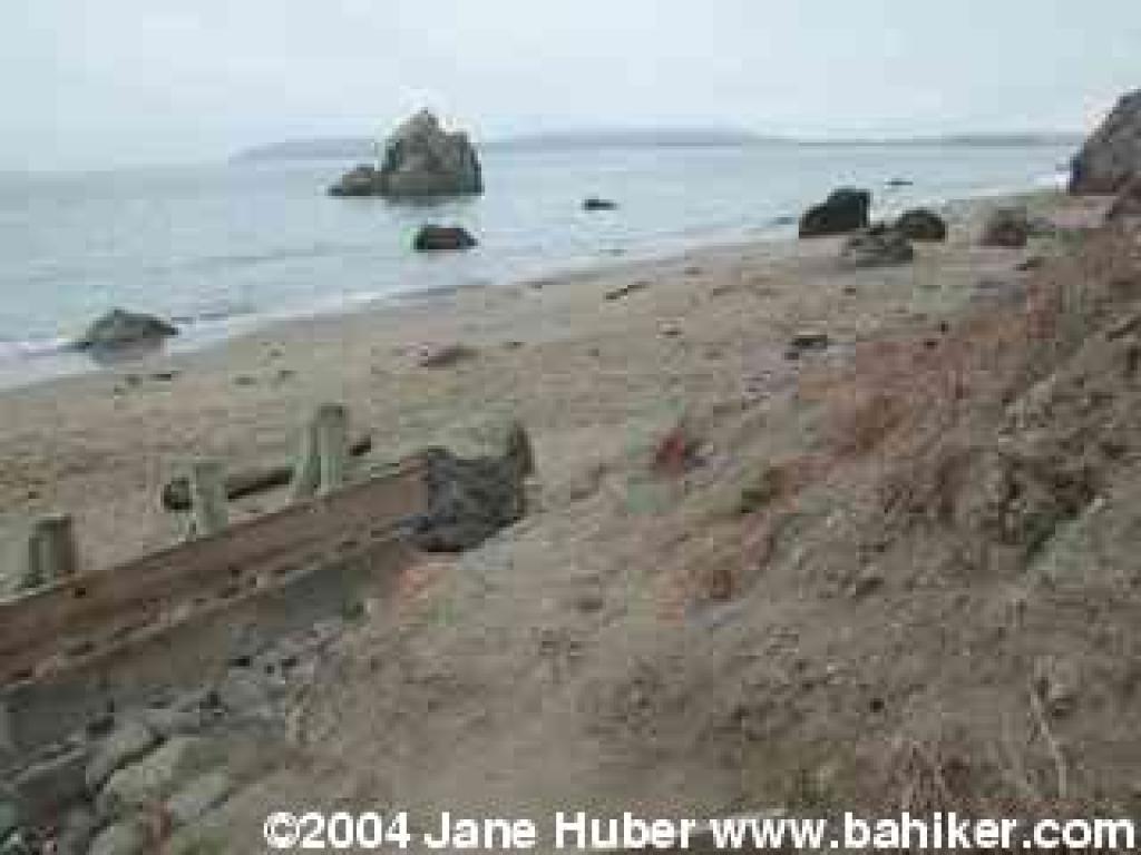 Beach, loking north to Bodega Head