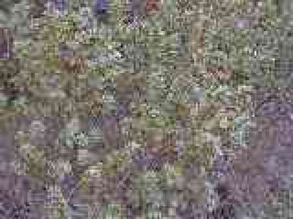 Coyote brush