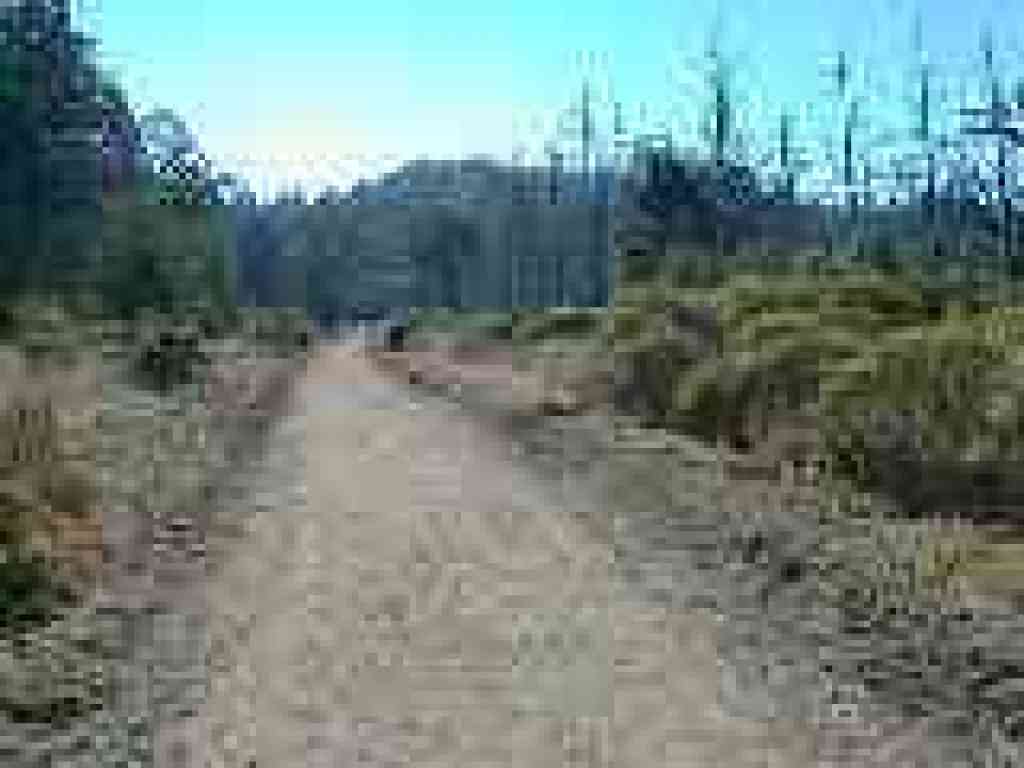 Upper reaches of burn zone