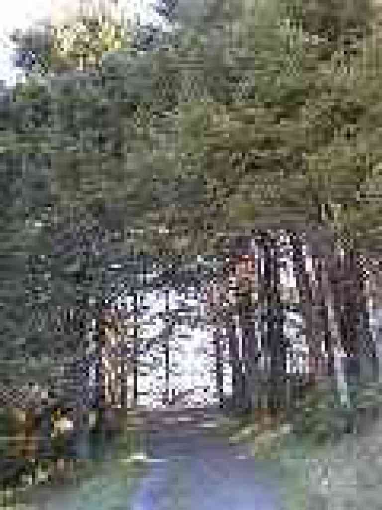 Trail takes a corner