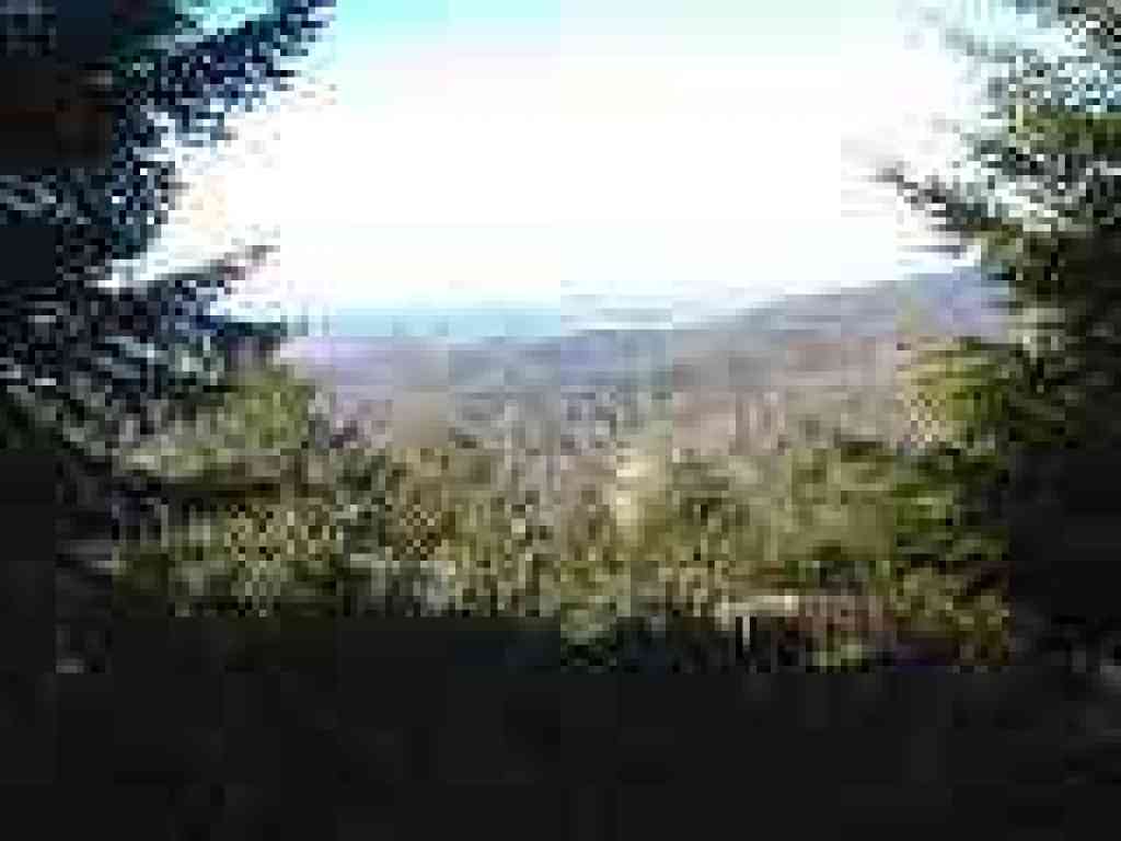 View east