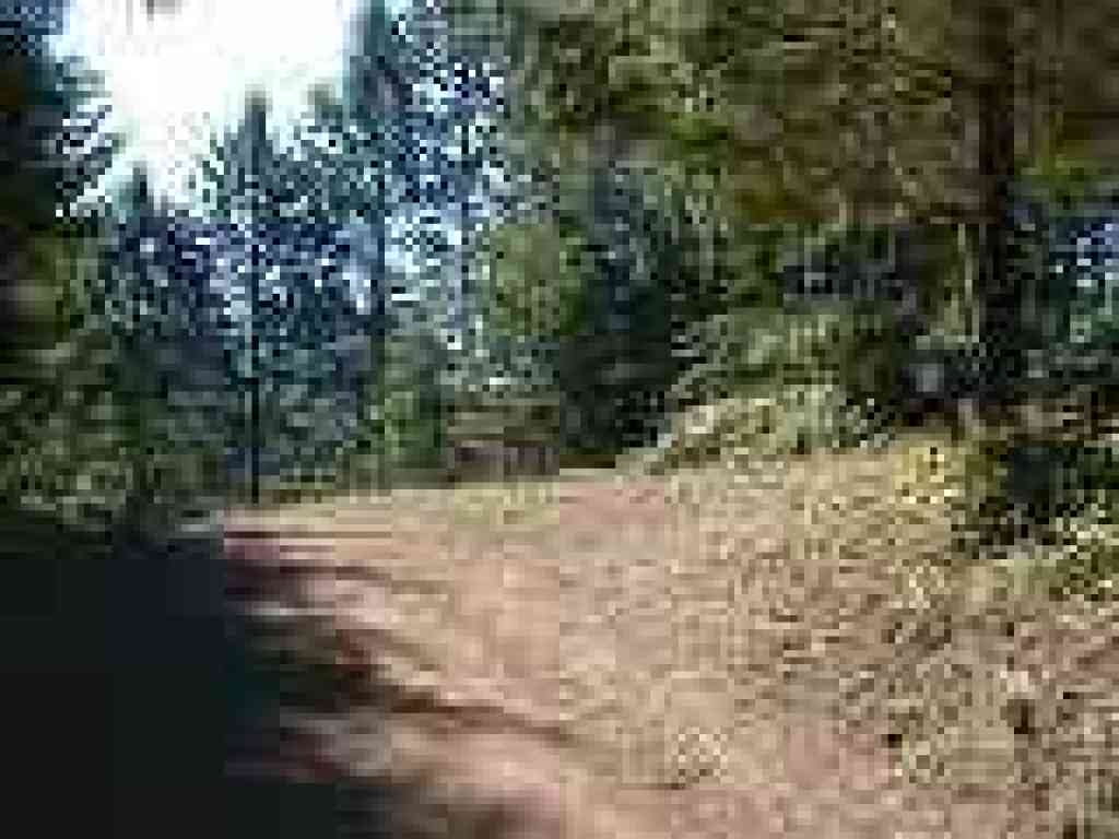 Junction