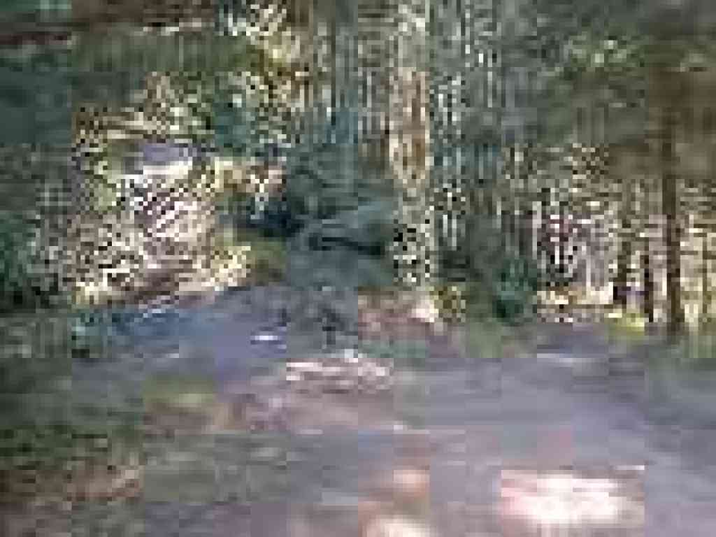 Junction