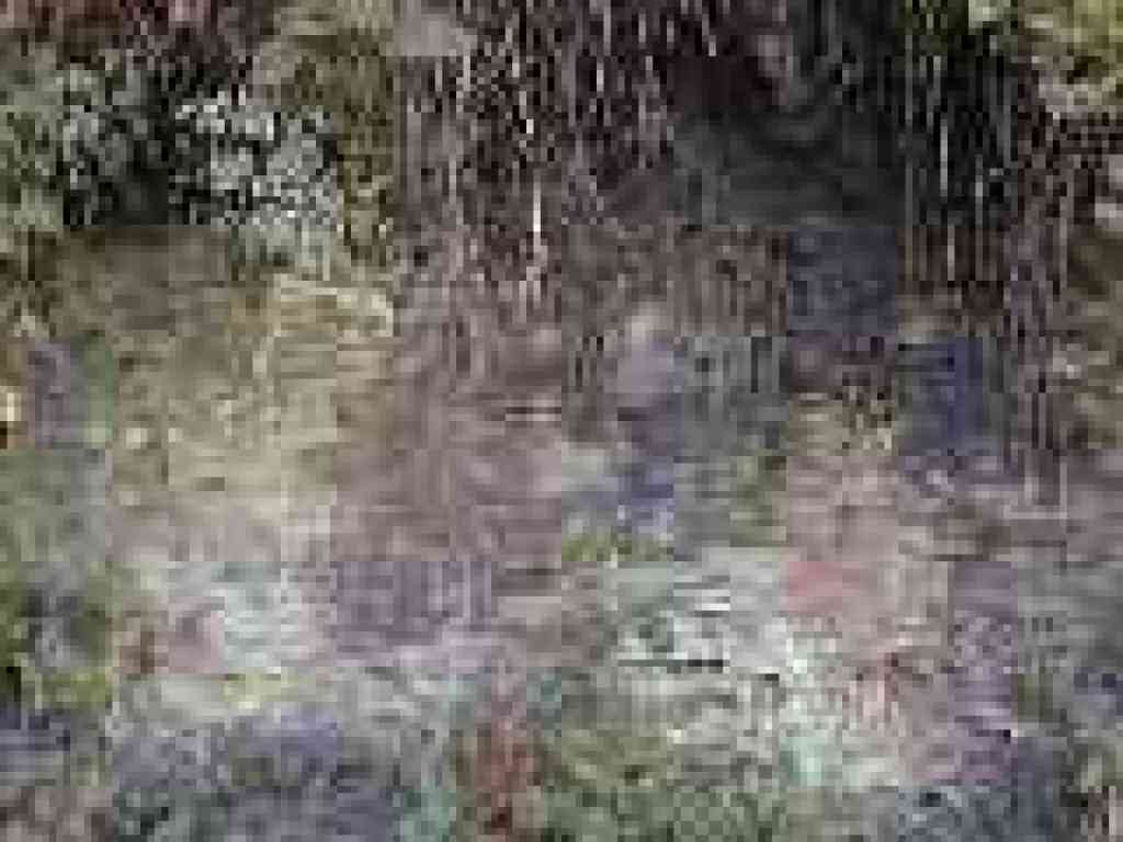 Rock