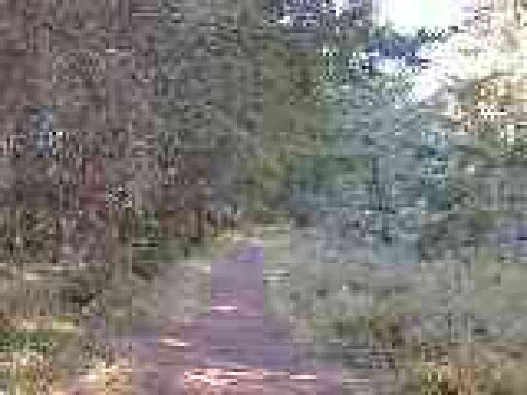 Z Ranch Trail