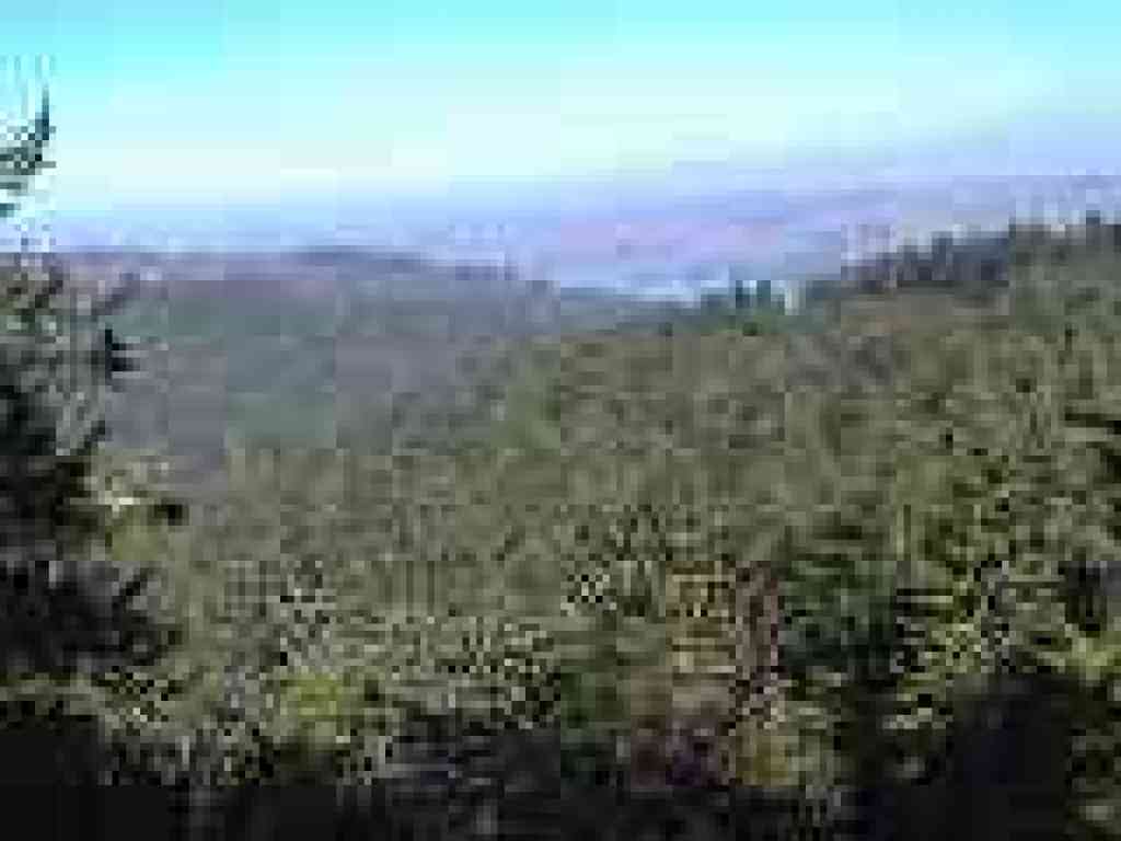 View east