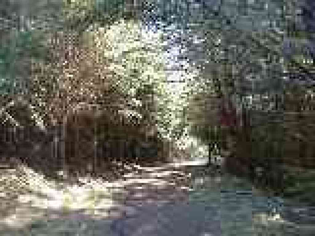 Deep shade