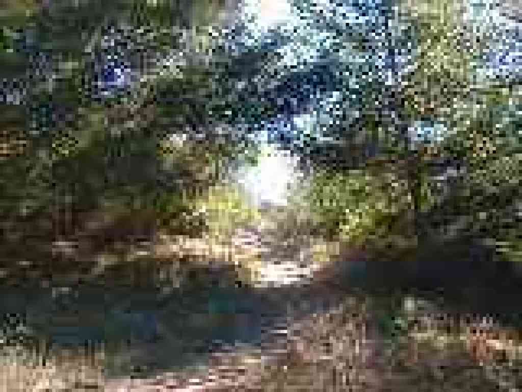 Climbing on Mount WIttenberg Trail