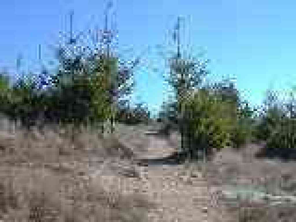 Crossing the old shortcut