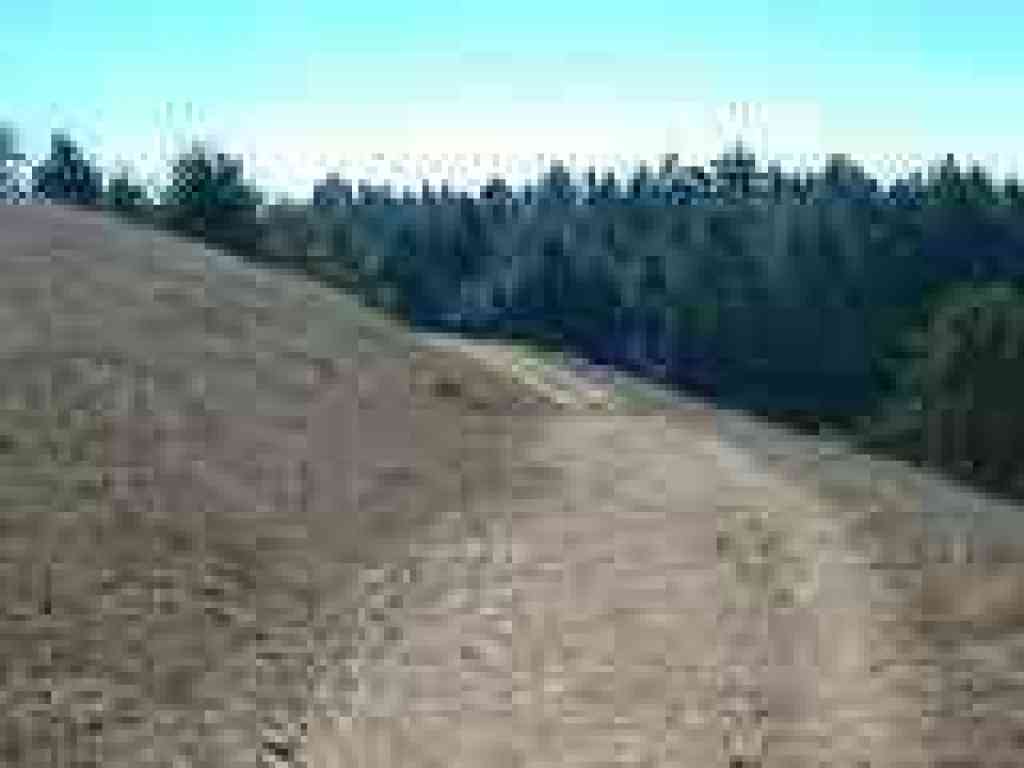 Mount Wittenberg Trail