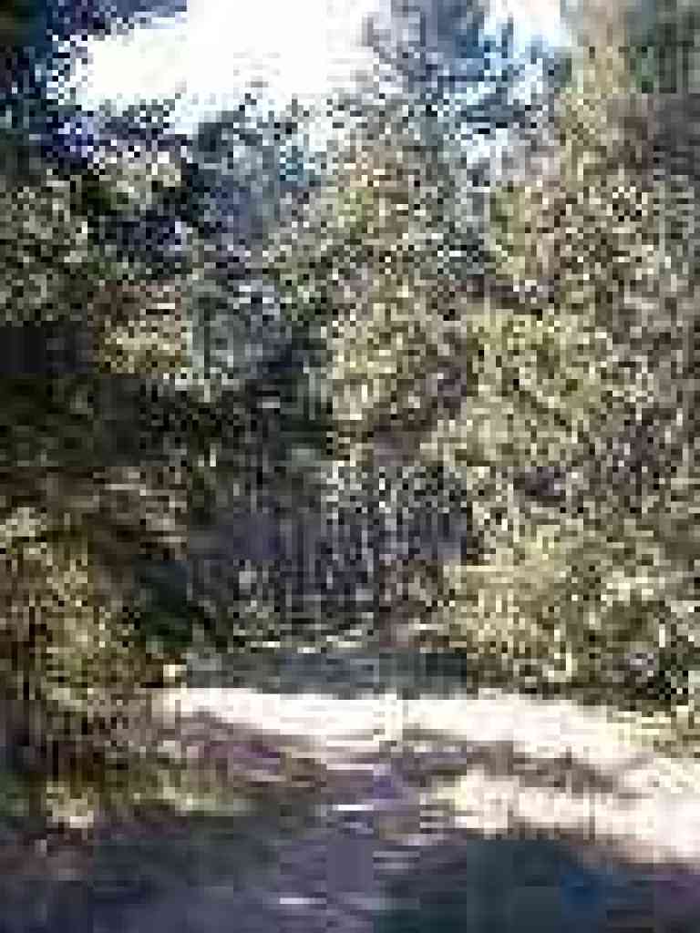 Junction
