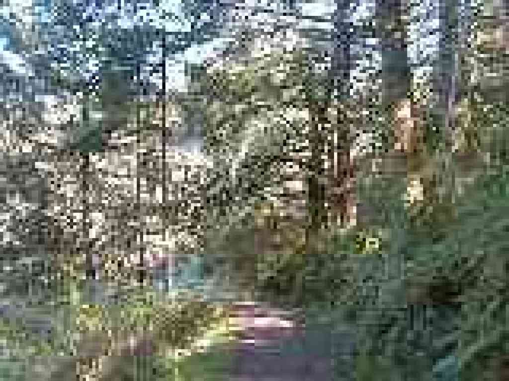 Pretty shaded section