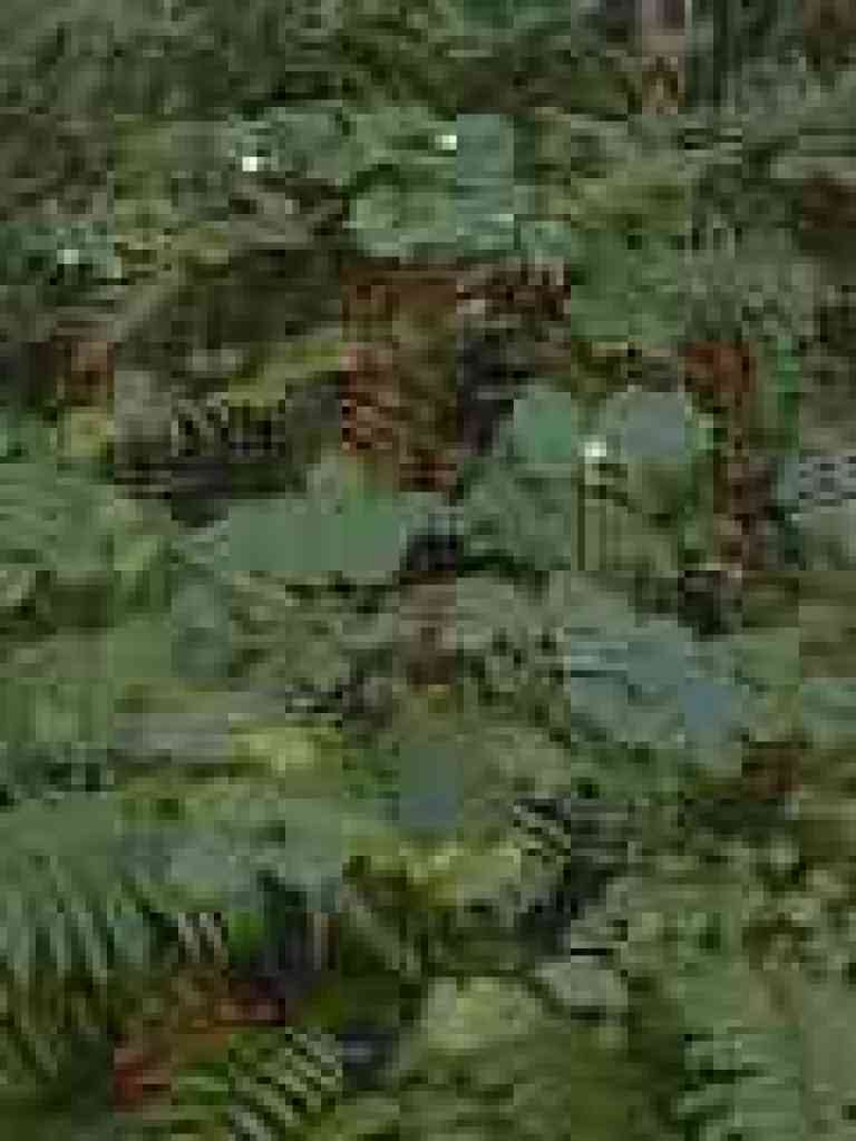 Snowberries