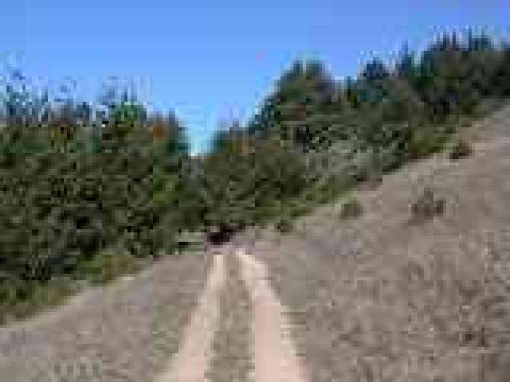 Bisecting a hillside