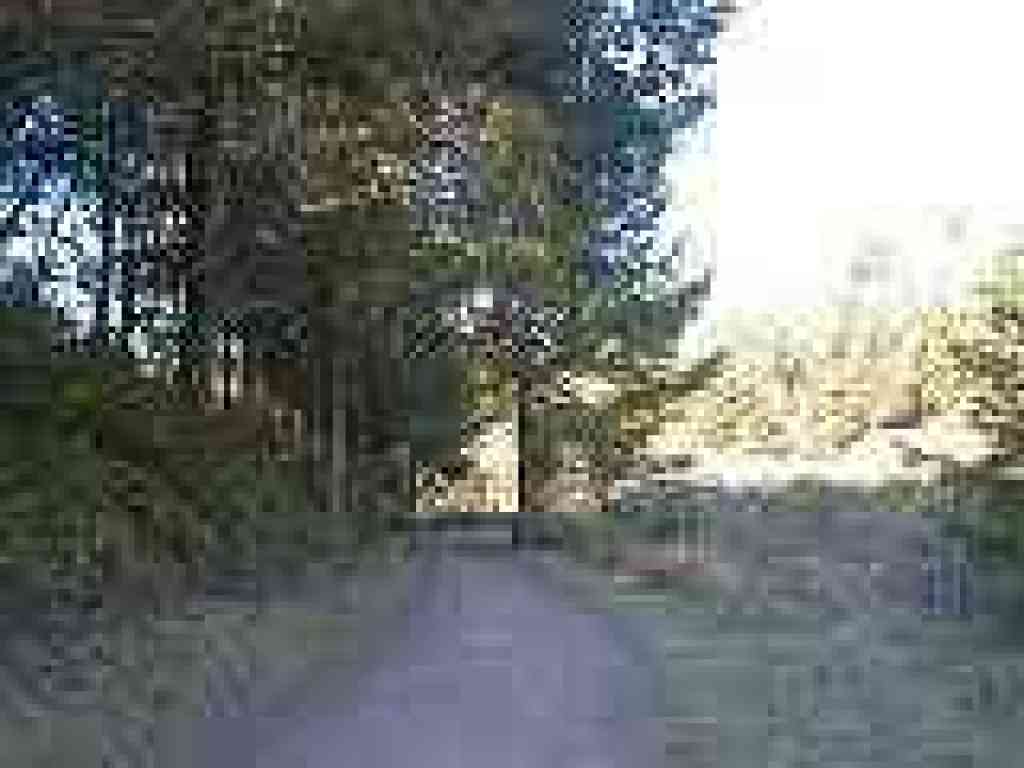 Near campsites