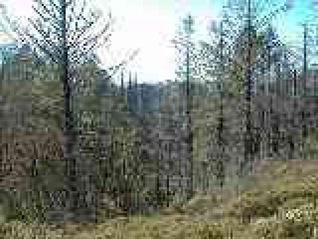 Looking west