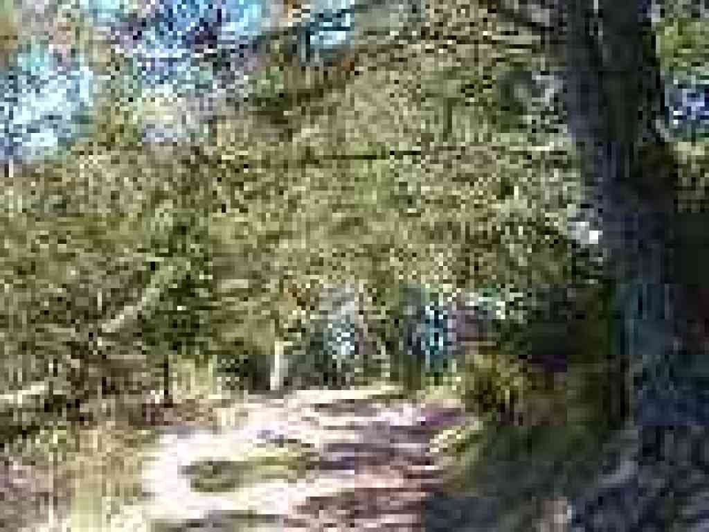 Junction with Horse Trail