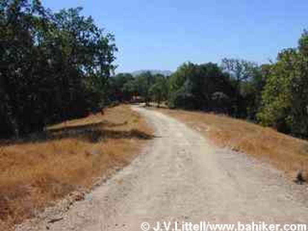 Flat stretch of Chicken Shack Fire Road