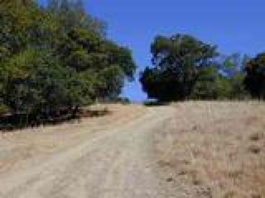 Little Cat Fire Road
