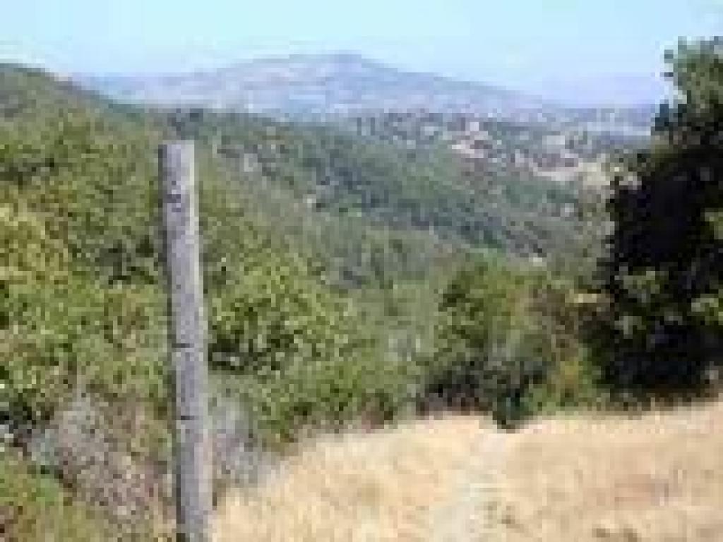 View north to Mount Burdell