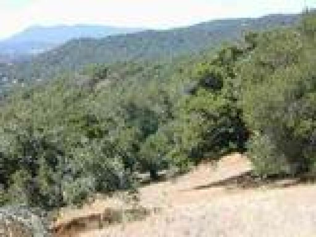 View south to Tam