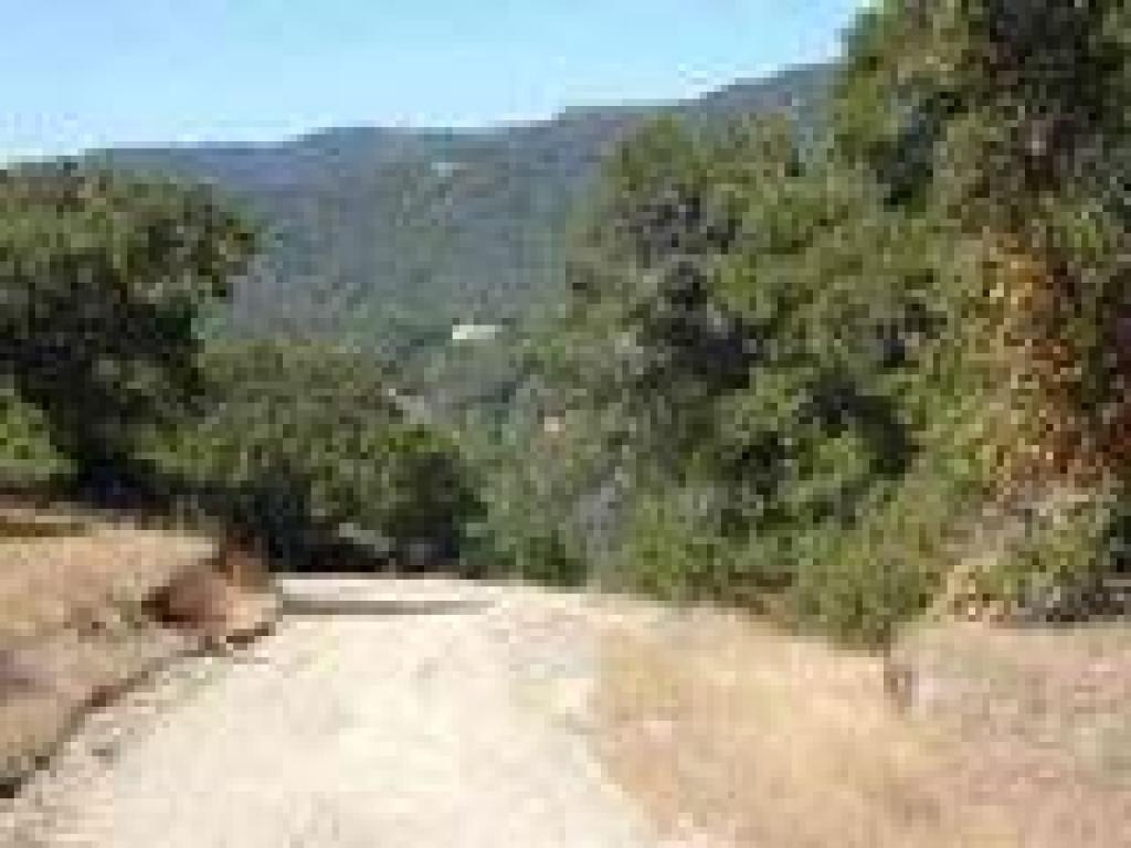Tank on Little Cat Fire Road visible